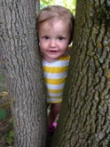 bailee-tree